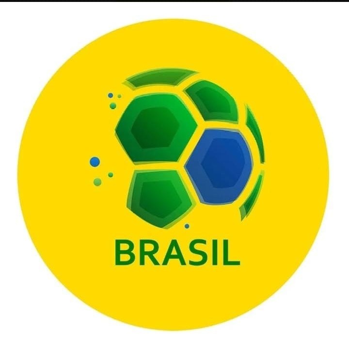 Brasil Copa Do Mundo - Fabricando Festa Por RFProvençais