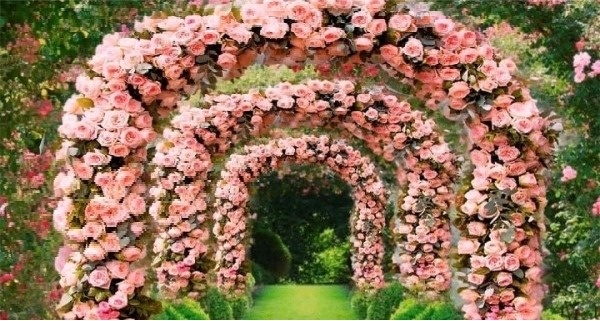 Jardim Portal  Rosas 5M  - Fabricando Festa Por RFProvençais
