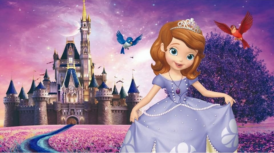 Princesa Sofia 5M - Fabricando Festa Por RFProvençais