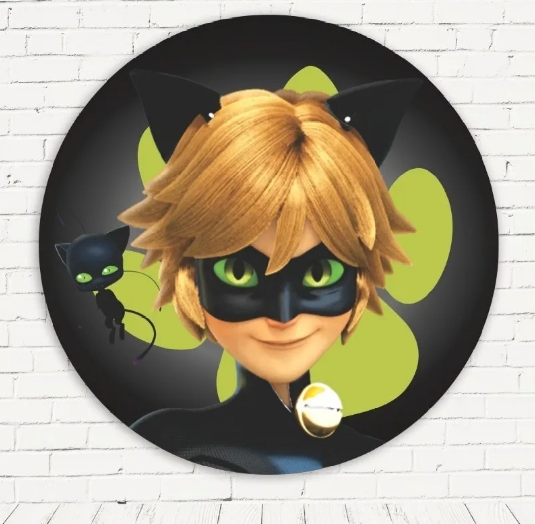 Miraculous Cat Noir - Fabricando Festa Por RFProvençais