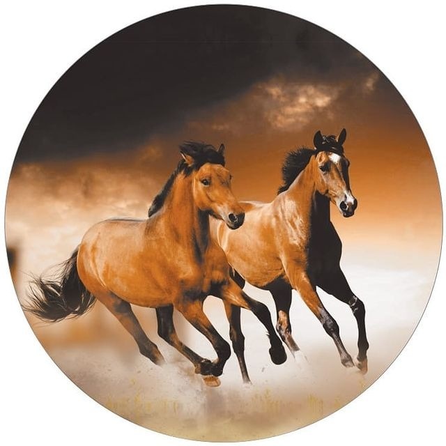 Cavalo 1 - Fabricando Festa Por RFProvençais