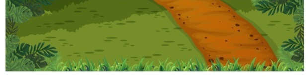 Tapete Safari - Fabricando Festa Por RFProvençais