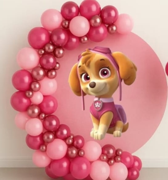 Arco Para Pegue E Monte (Cliente Compra As Bolas) - Fabricando Festa Por RFProvençais