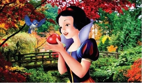 Painel Branca de Neve M - Fabricando Festa Por RFProvençais