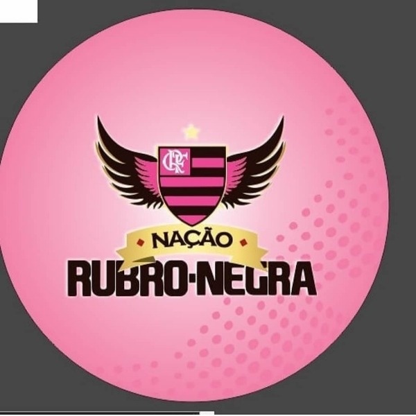 Flamengo Rosa - Fabricando Festa Por RFProvençais