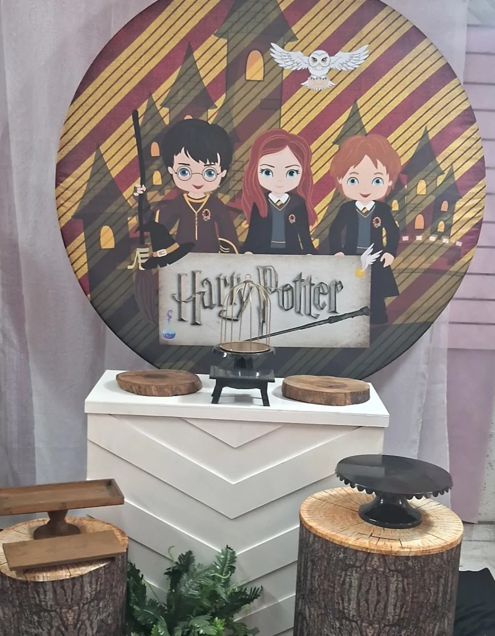 Kit Composição Harry Potter - Balões de Menina 