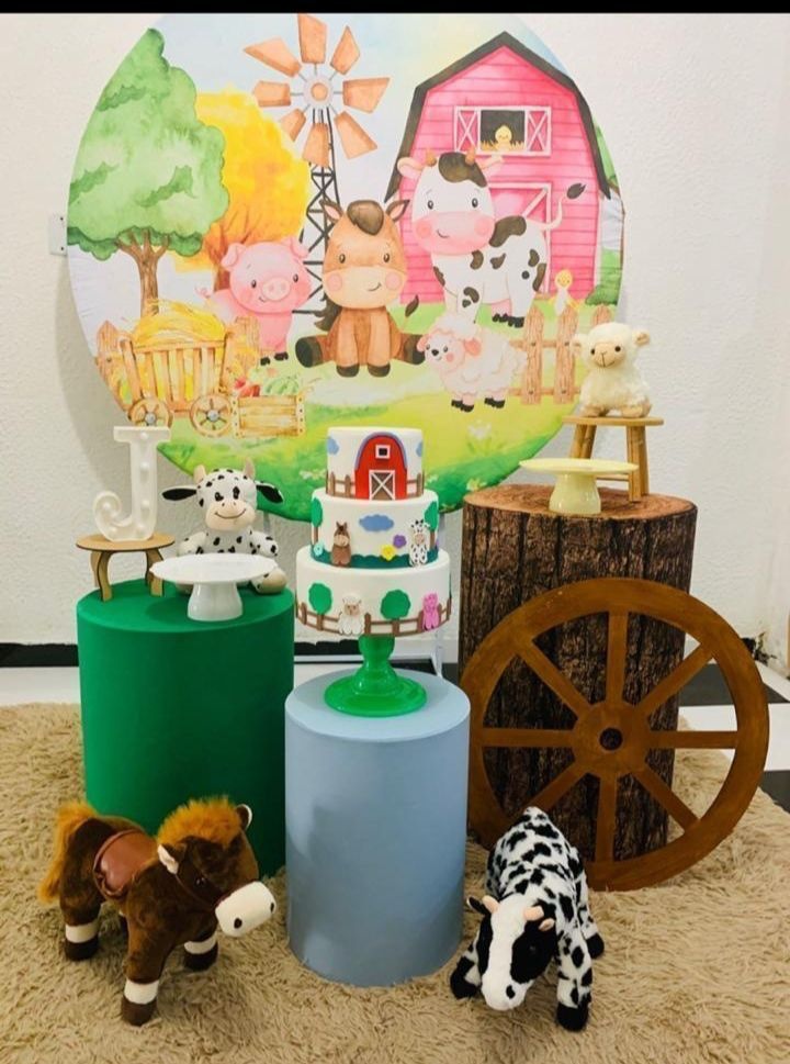Fazendinha  - Akitem Festa (Thalita Rissato)