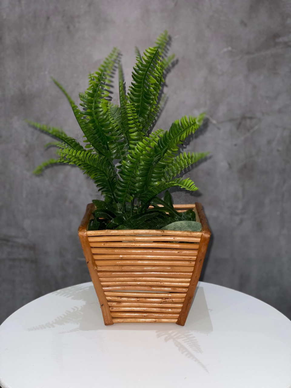 Vaso Bambu Com Planta - Akitem Festa (Thalita Rissato)