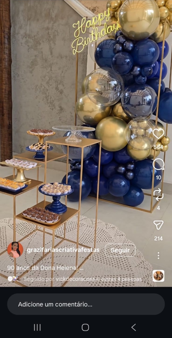 Azul E Prata 5 - Akitem Festa (Thalita Rissato)