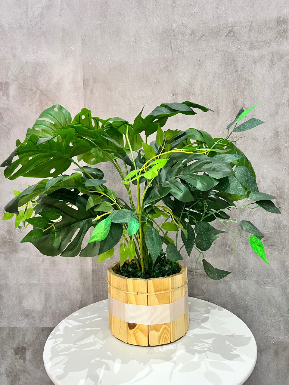 Vaso Com Planta de Chão  - Akitem Festa (Thalita Rissato)