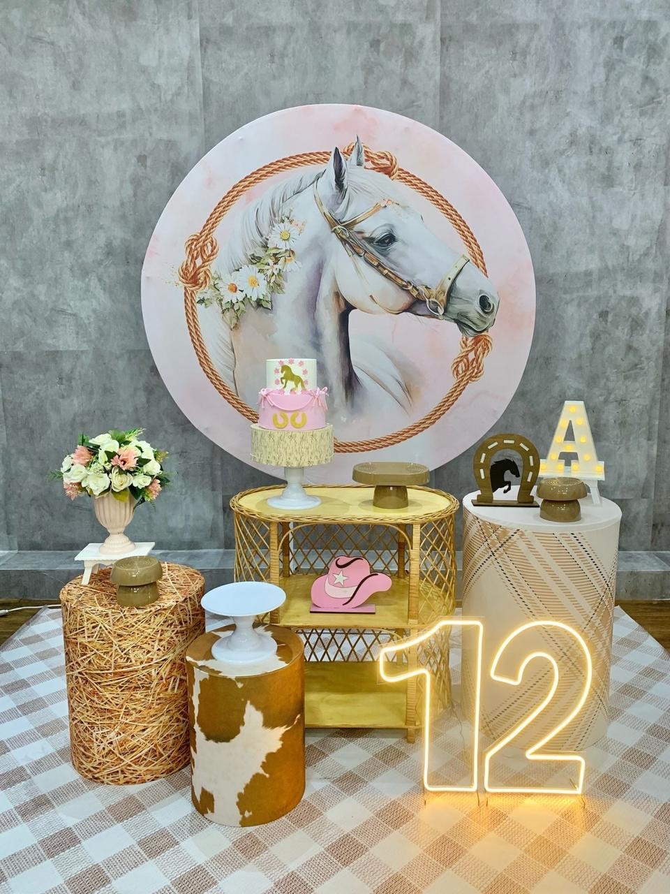 Cavalo Branco 02 - Akitem Festa (Thalita Rissato)