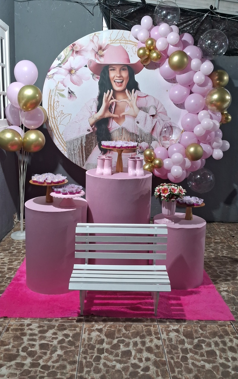 Ana Castela - JC DECORAÇÕES