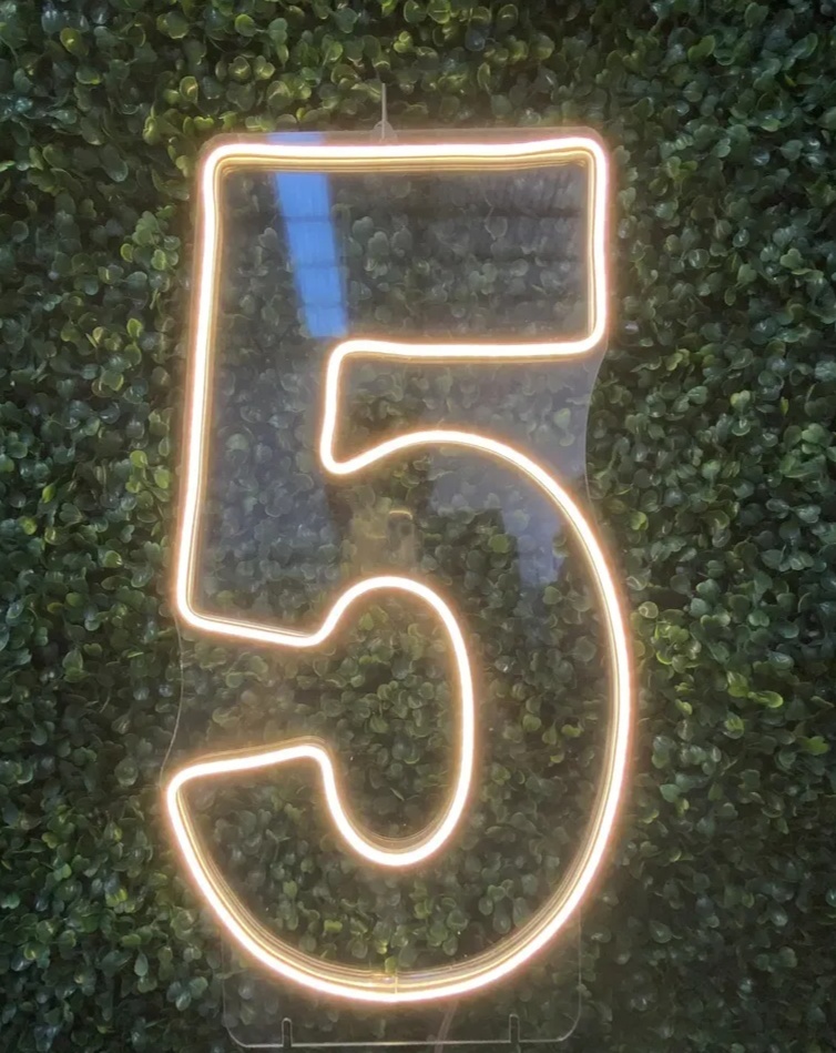 Número 5 Led de 50 Cm Luz Quente - Kecafestas 