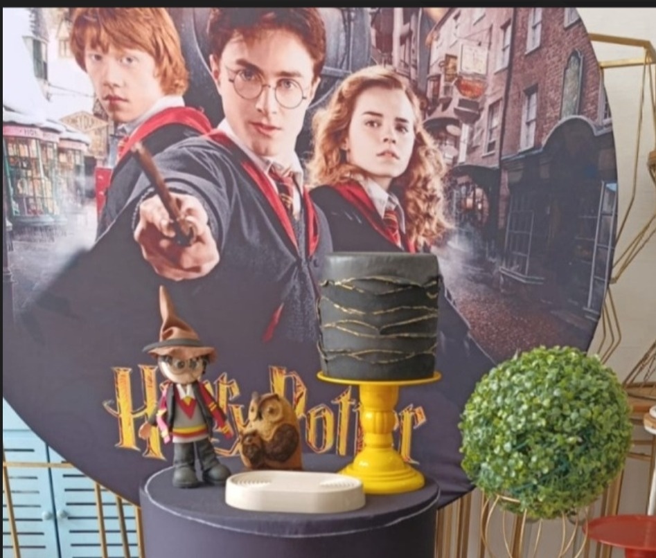 Painel Sublimado Harry Potter  - Kecafestas 