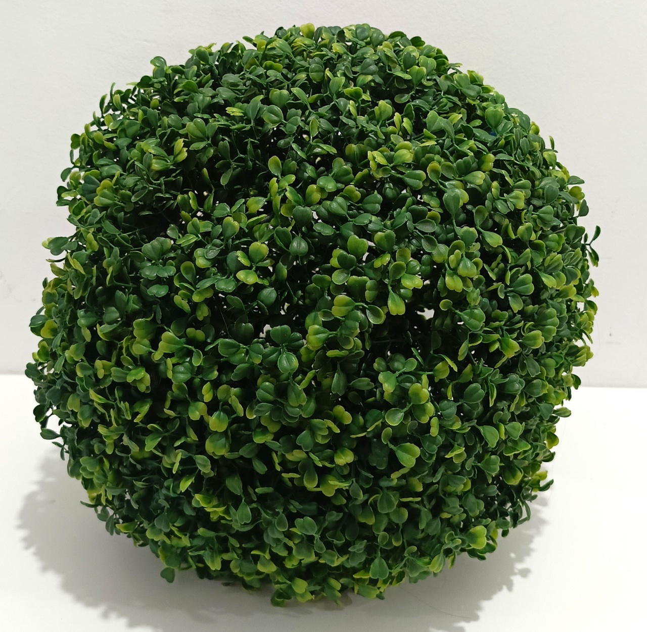 Buchinho Gg - 40Cm - Vanessalocações