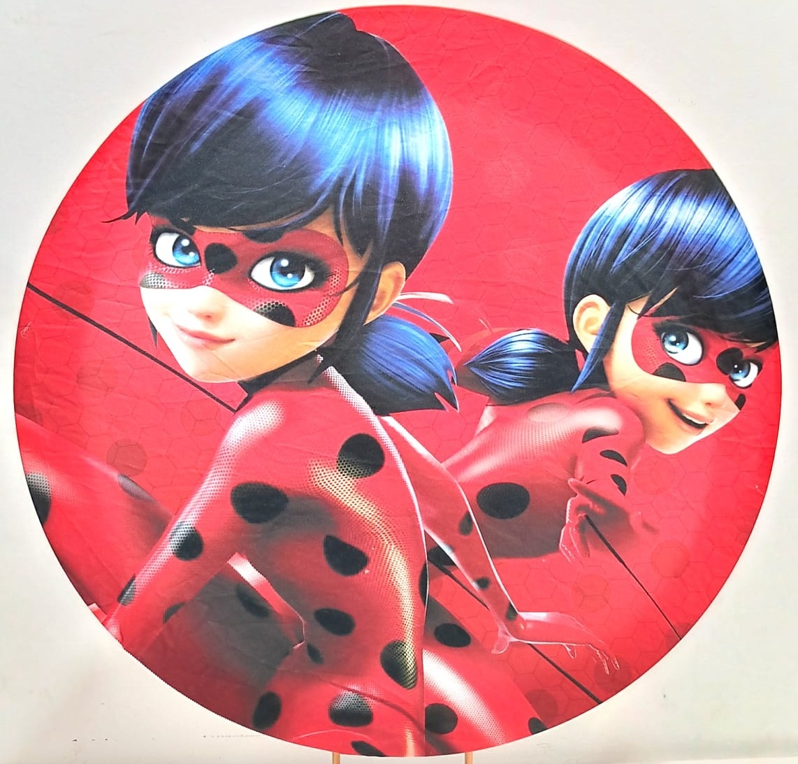 Capa  P/ Painel Circular Ladybag - 50Cm - Vanessalocações