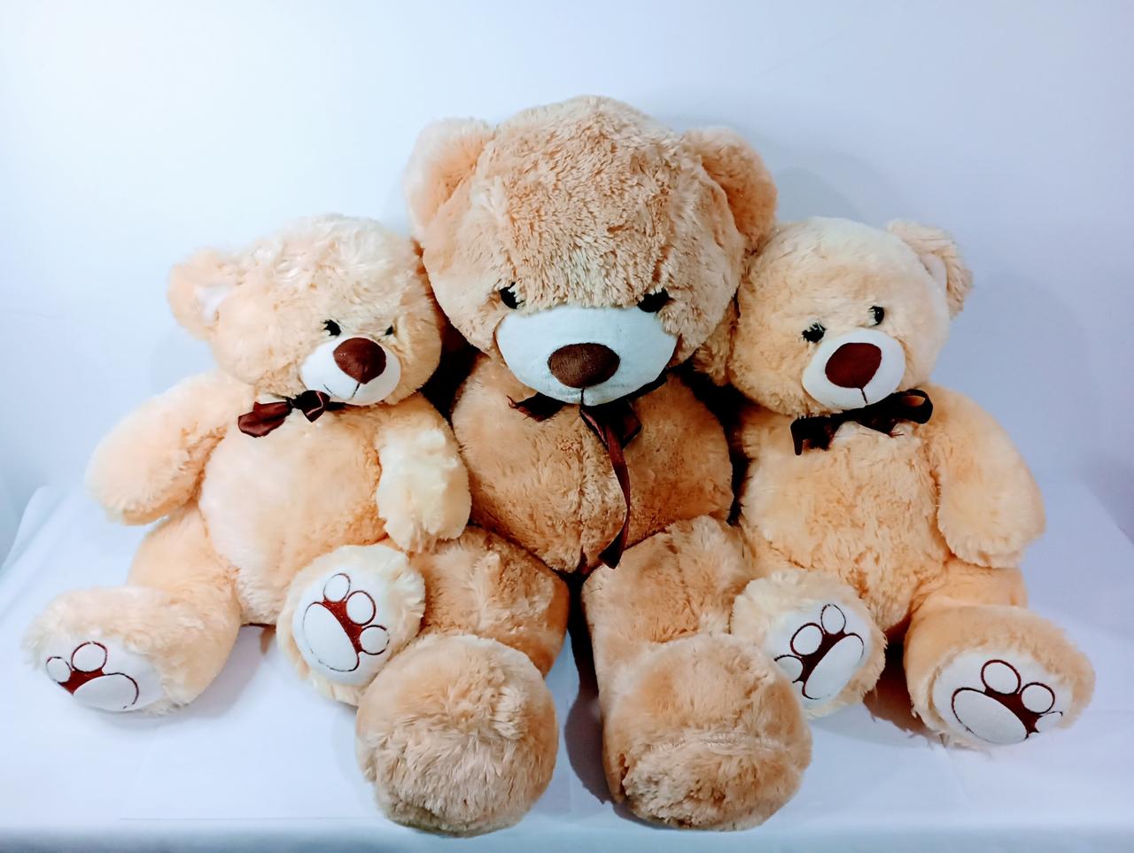 Coleção Urso Pelúcia  3 Peças - Coleção Ursos - Vanessalocações