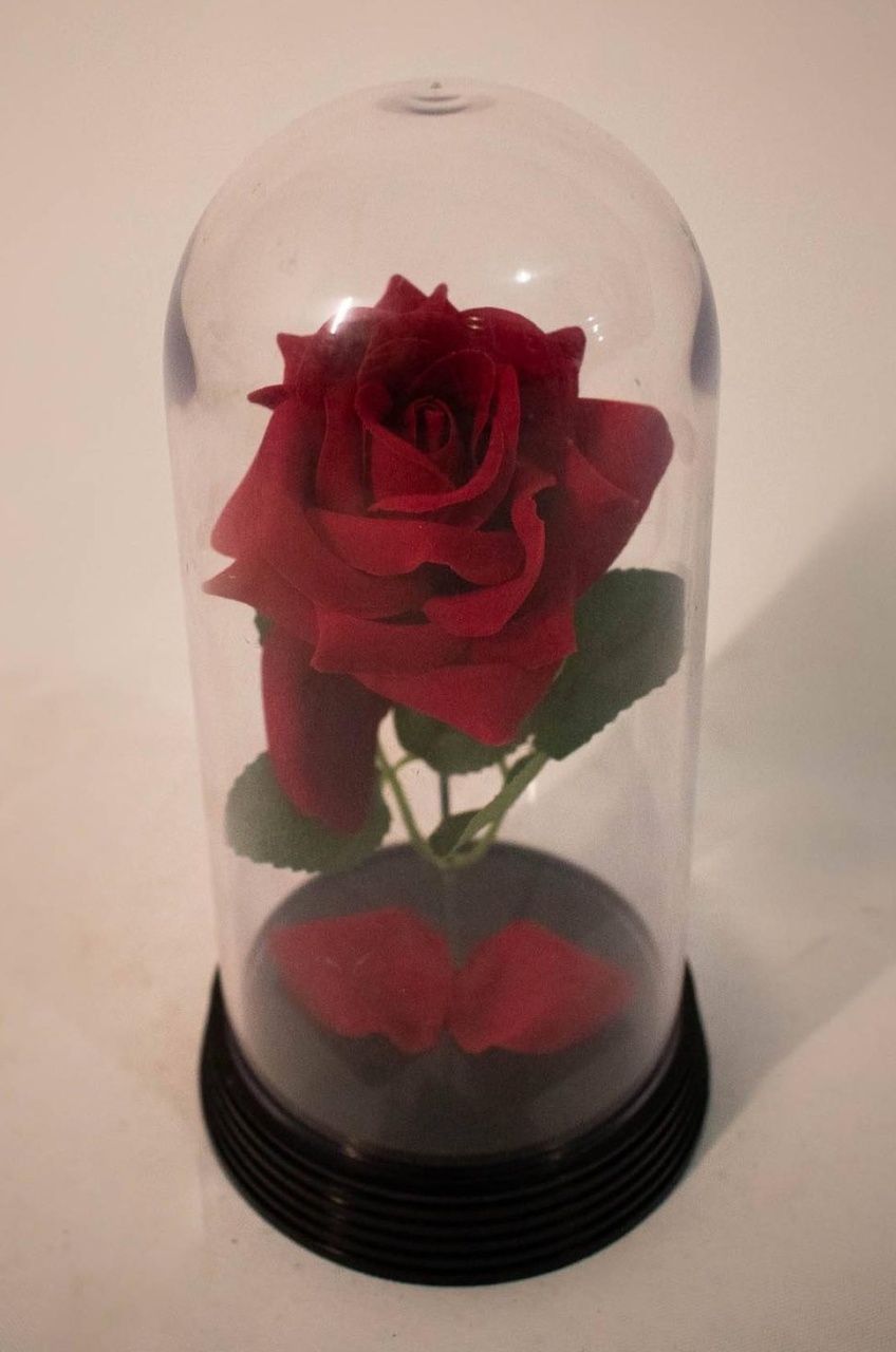 Cúpula Acrílica Rosa Vermelho - Vanessalocações