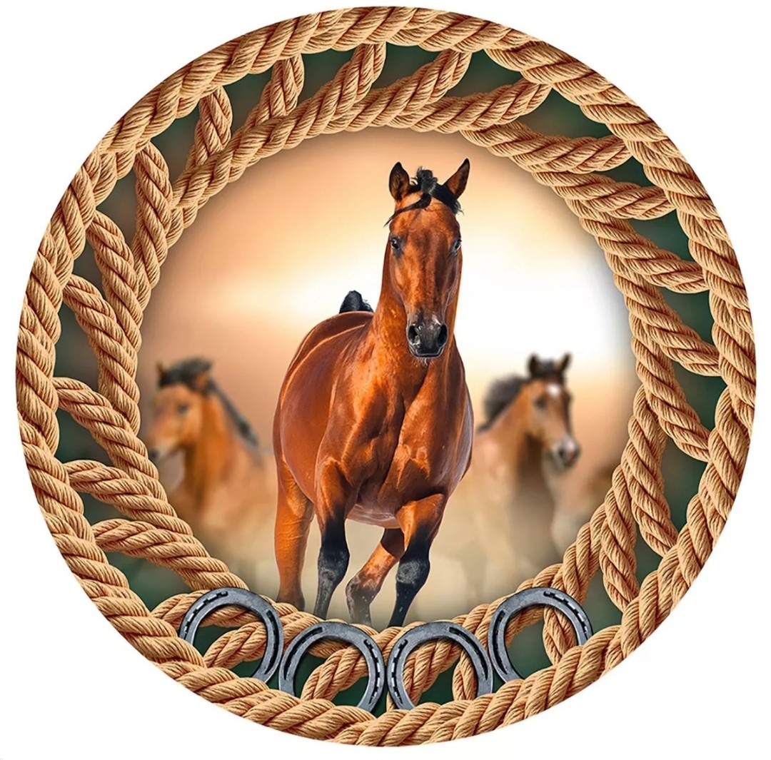 Capa P/ Painel Circular  -  Cavalo/Country Masculino - Vanessalocações