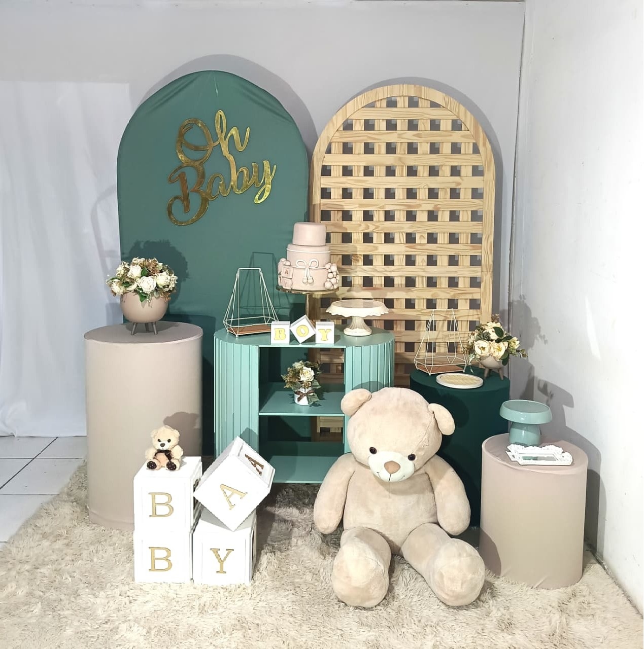 Composição Chá de Bebê Menino 1 - CamaleãoLocaçoes