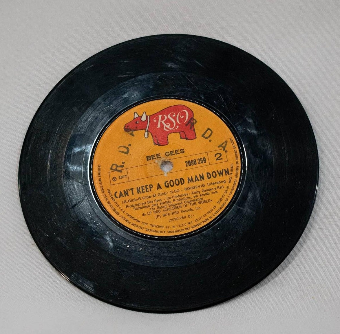 Disco Vinil P - Vanessalocações