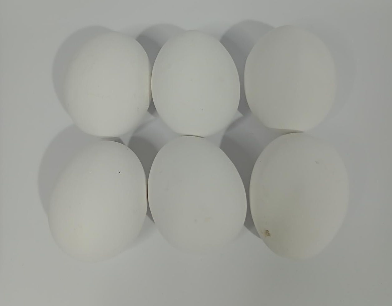 Ovos de Gesso - Vanessalocações