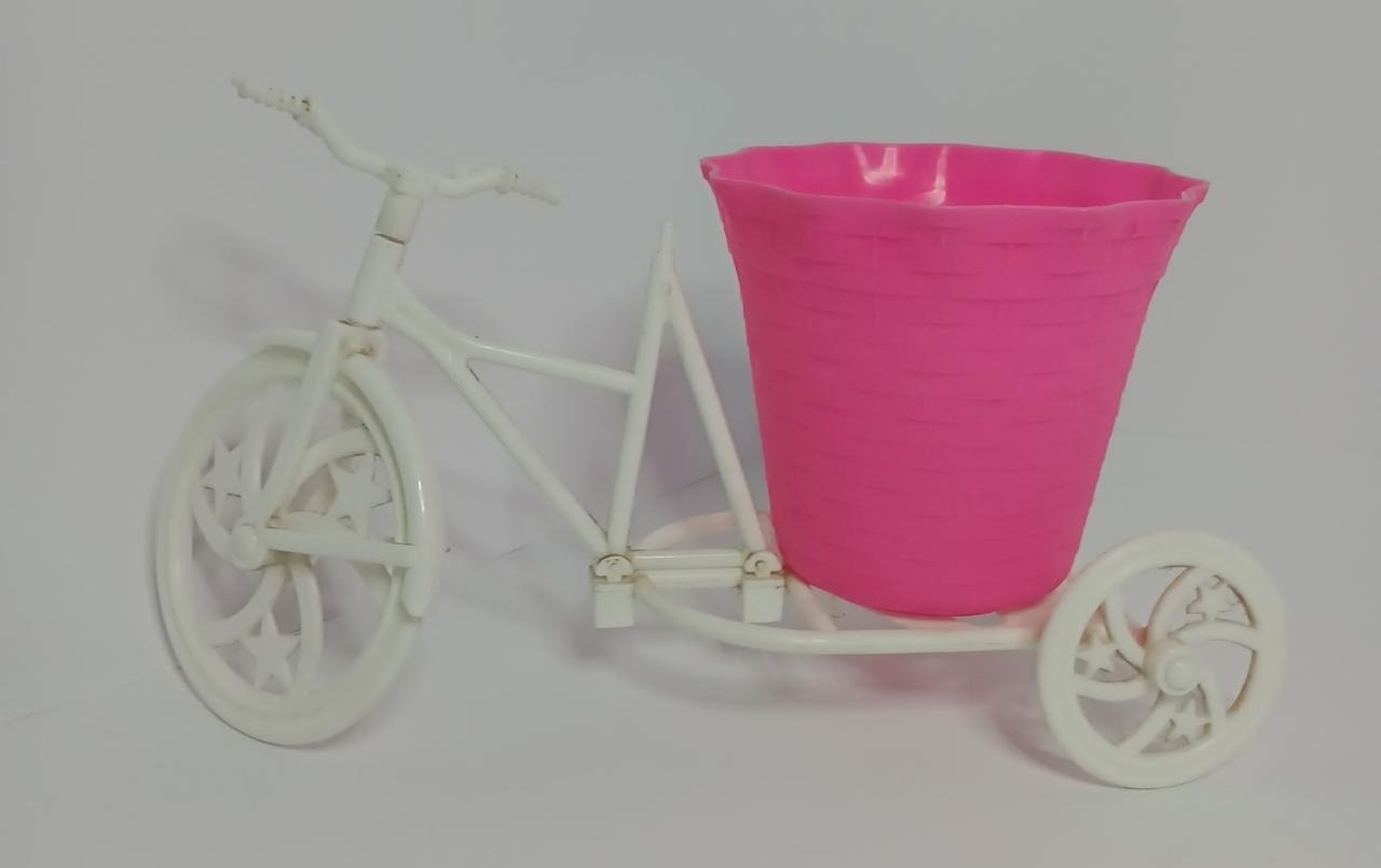 Bicicleta Plástico Masha - Vanessalocações