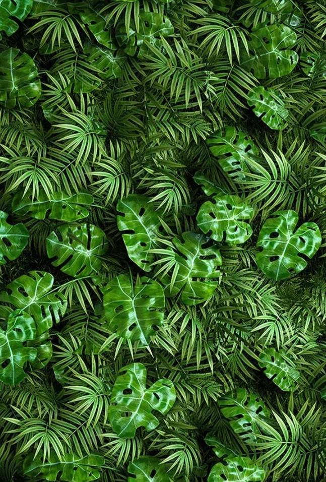  Capa Painel/ Retangular Costela de Adão - Vanessalocações