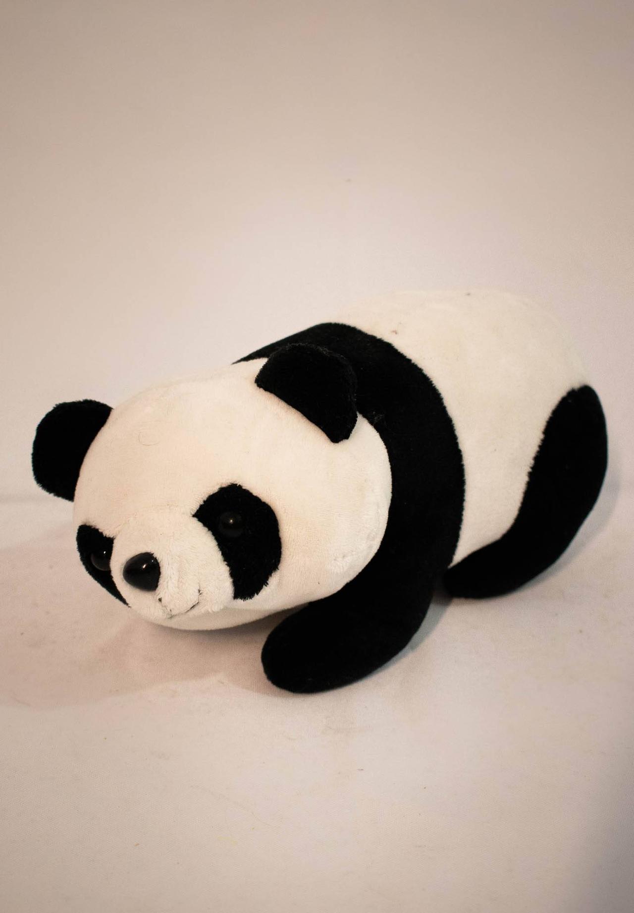 Panda de Pelúcia - Vanessalocações