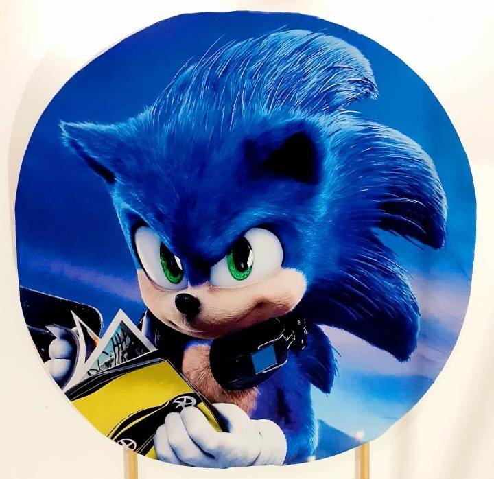 Capa P/ Painel Circular  - Sonic - Vanessalocações