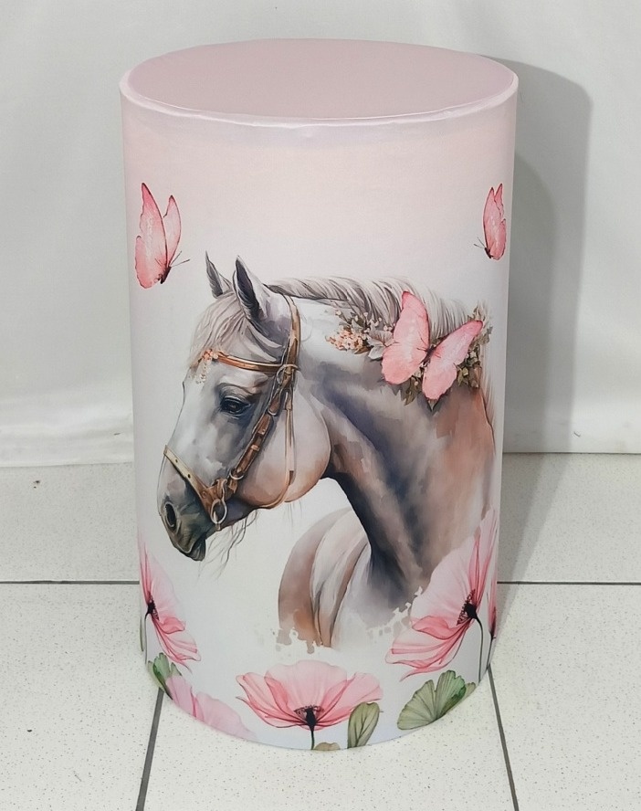 Capa  Cilindros G - Boiadeira/Country /Cavalo - Vanessalocações