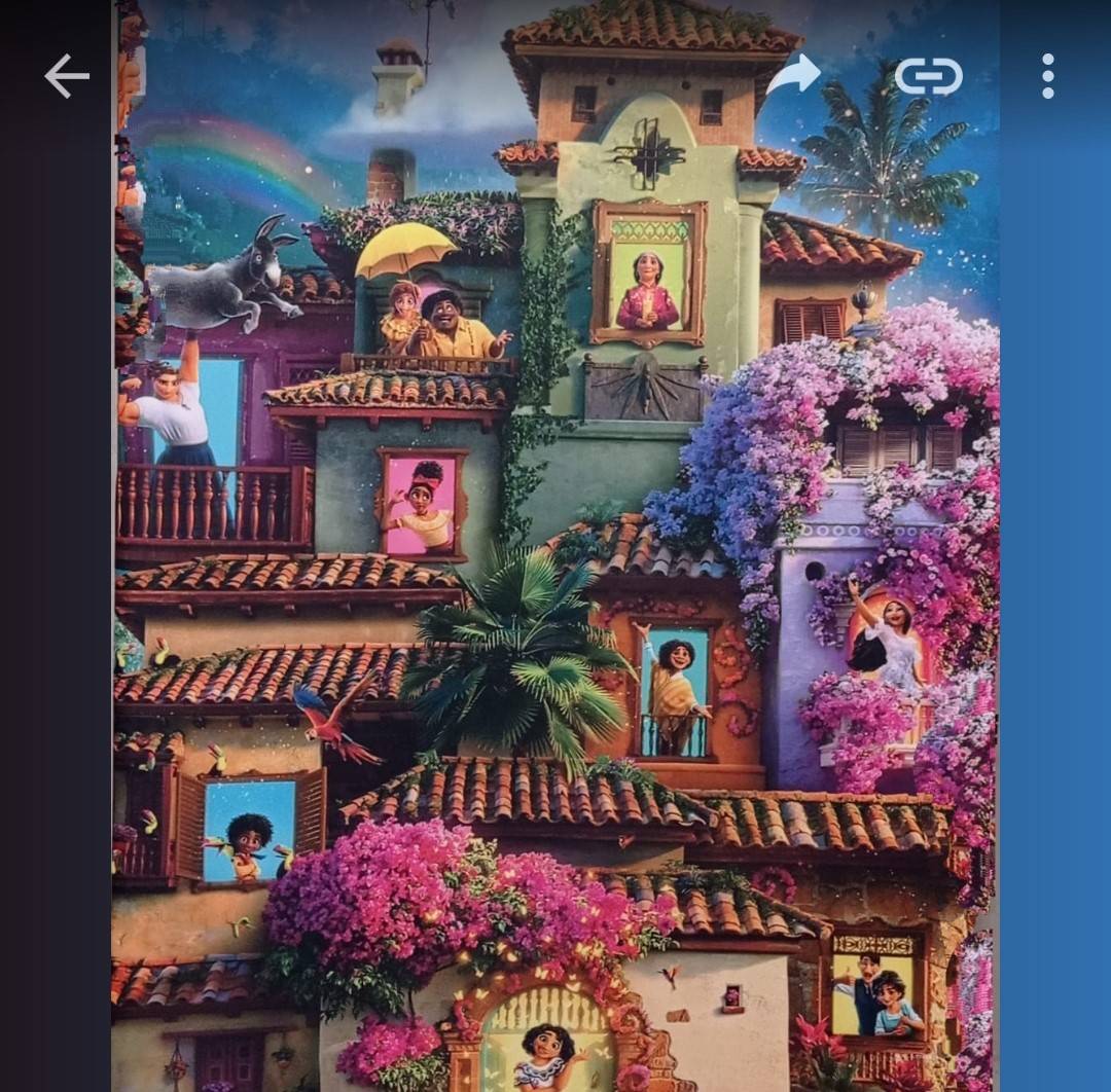 Capa P/ Painel Retangular Sublimado  -  Encanto - Vanessalocações