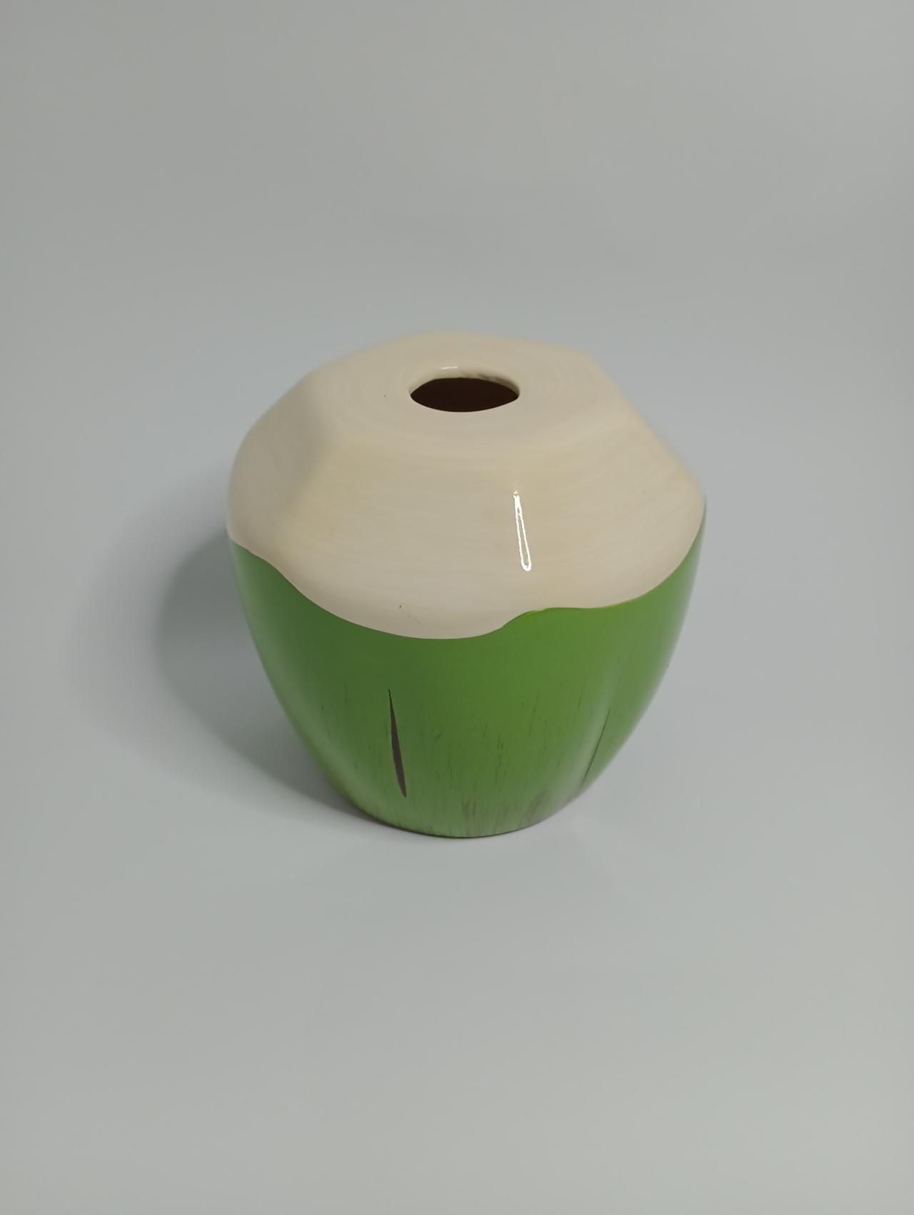 Coco Decorativo Ceramica - Vanessalocações