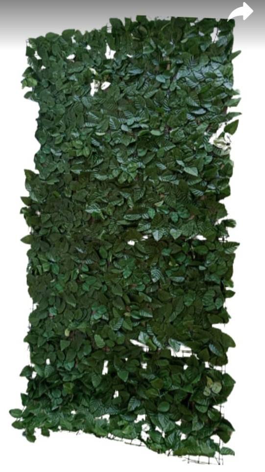 Painel Verde Muro Inglês - Vanessalocações