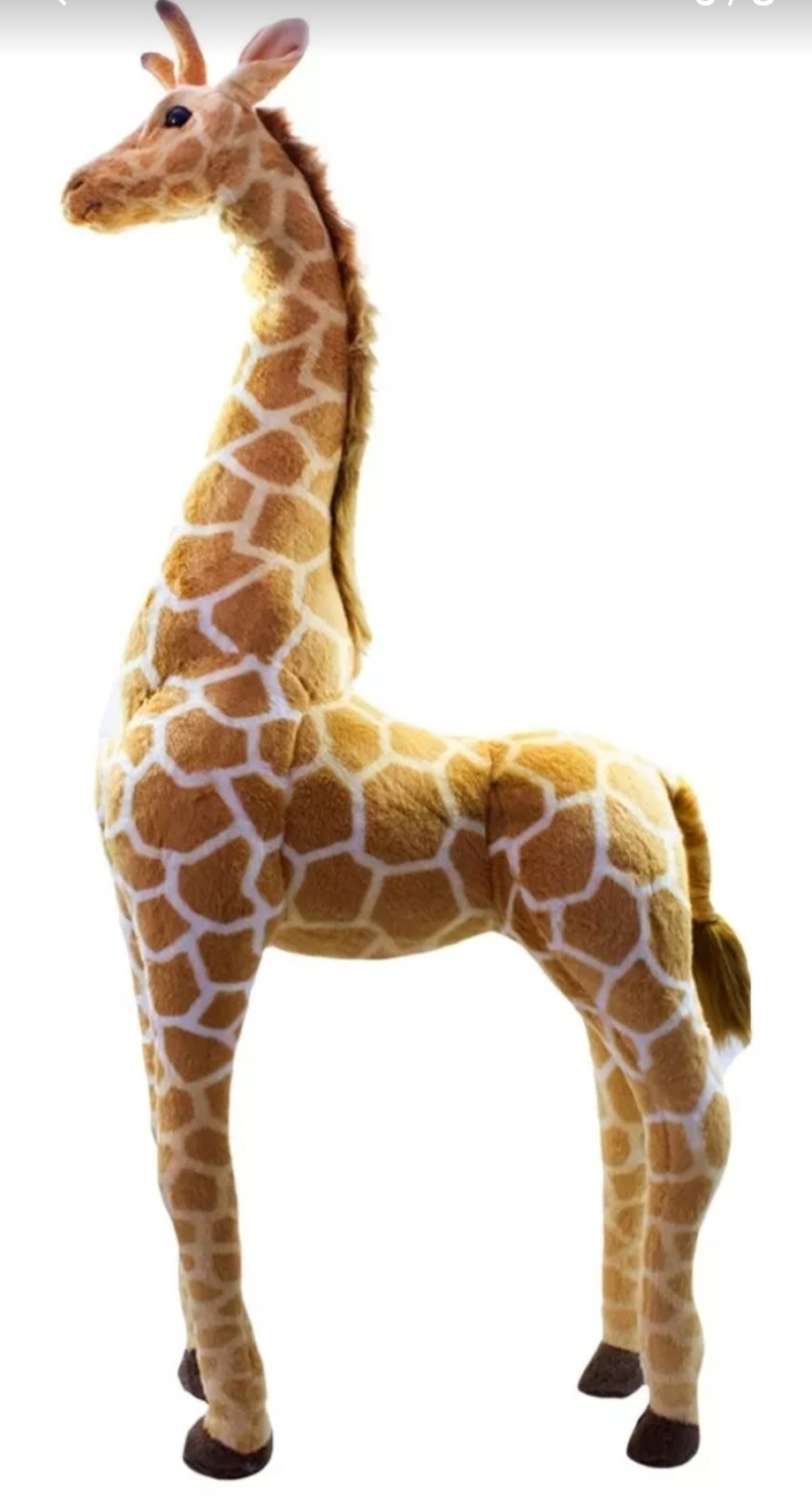 Girafa Gigante - Pelúcia - Vanessalocações