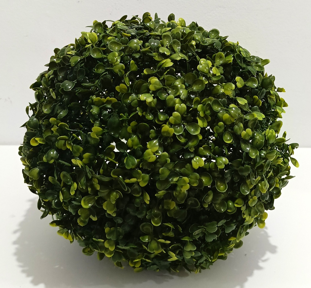 Buchinho G - 27Cm - Vanessalocações