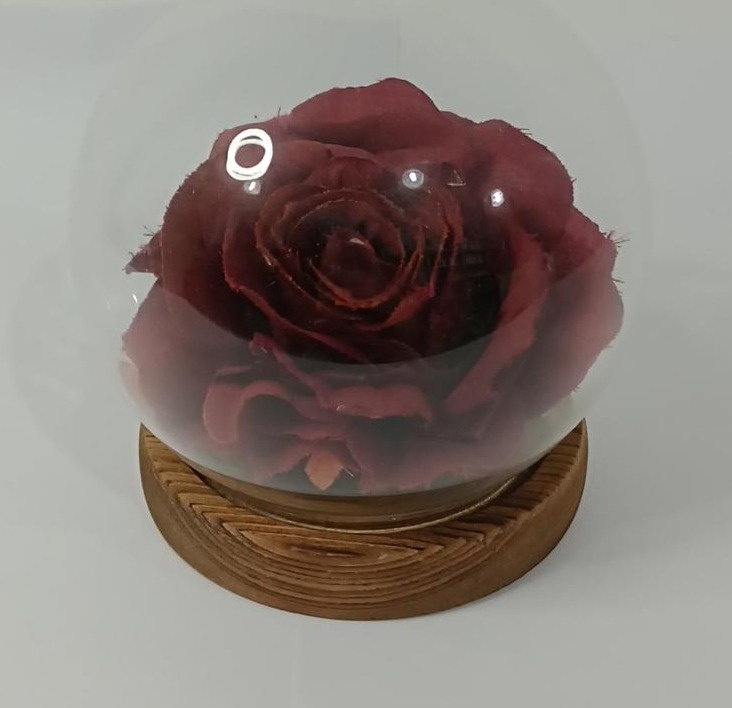 Cúpula Redonda - Vanessalocações