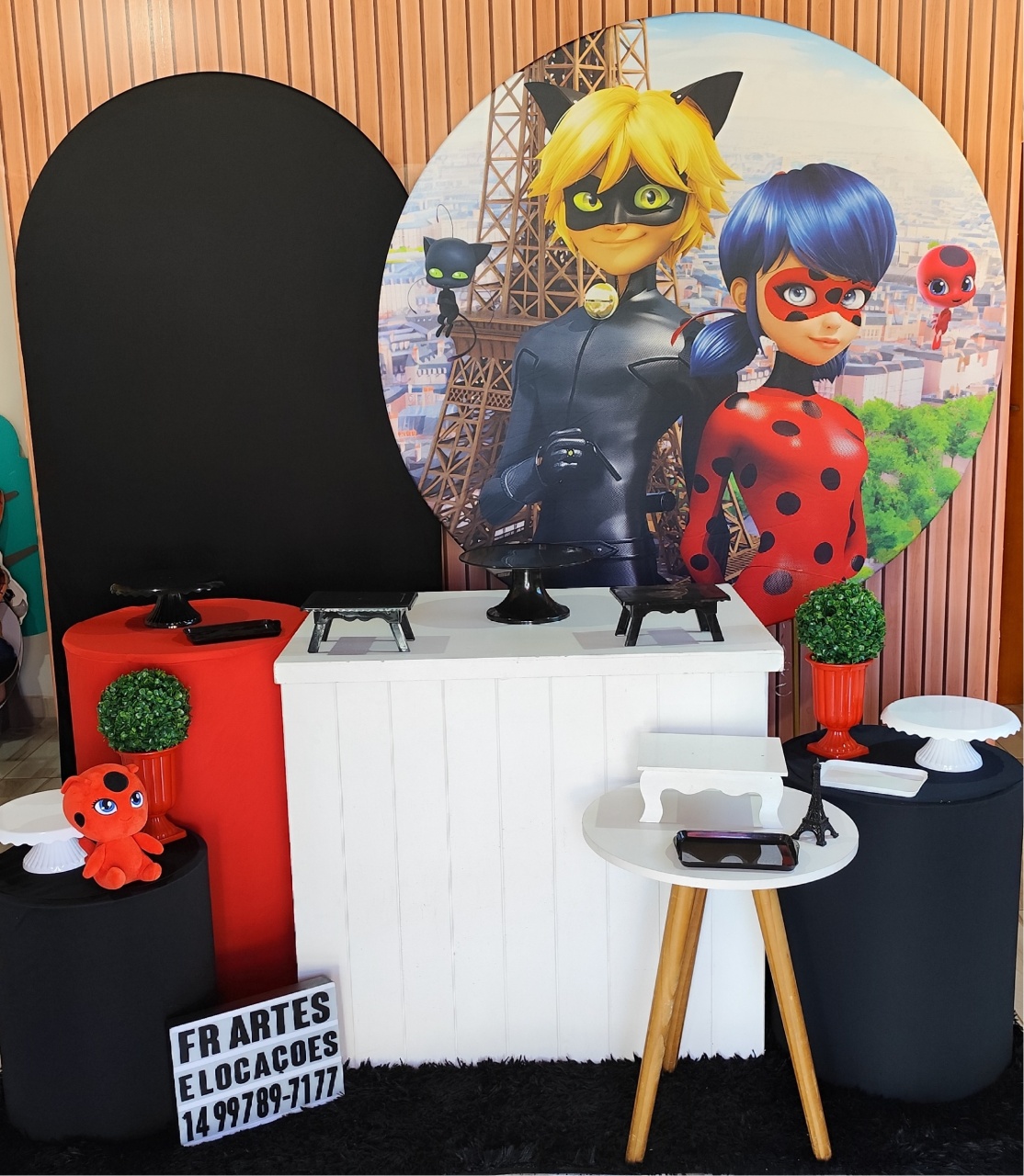 Ladybug E Cat Noir - Completo (Incluir Pelucia E Torre) - FR artes