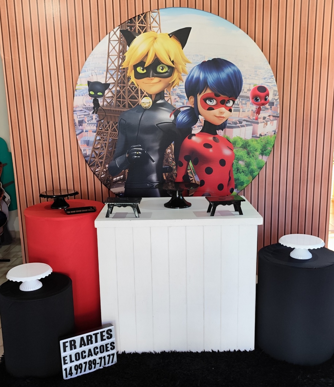 Ladybug E Cat Noir - Prata - FR artes