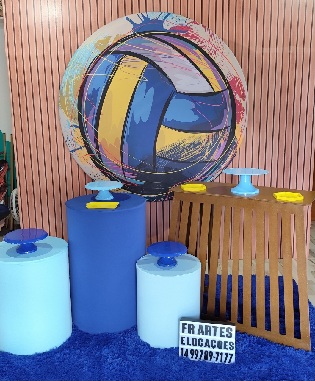 Volei - Prata - FR artes