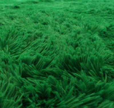 Tapete Pelinho (1.50X2.00) Verde Escuro  - FR artes