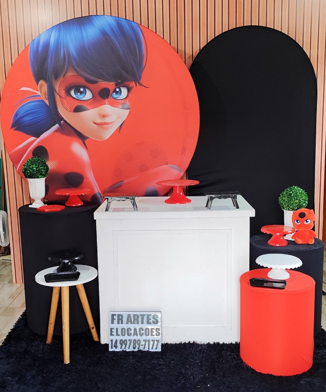 Ladybug - Completo (Incluir Pelucia) - FR artes