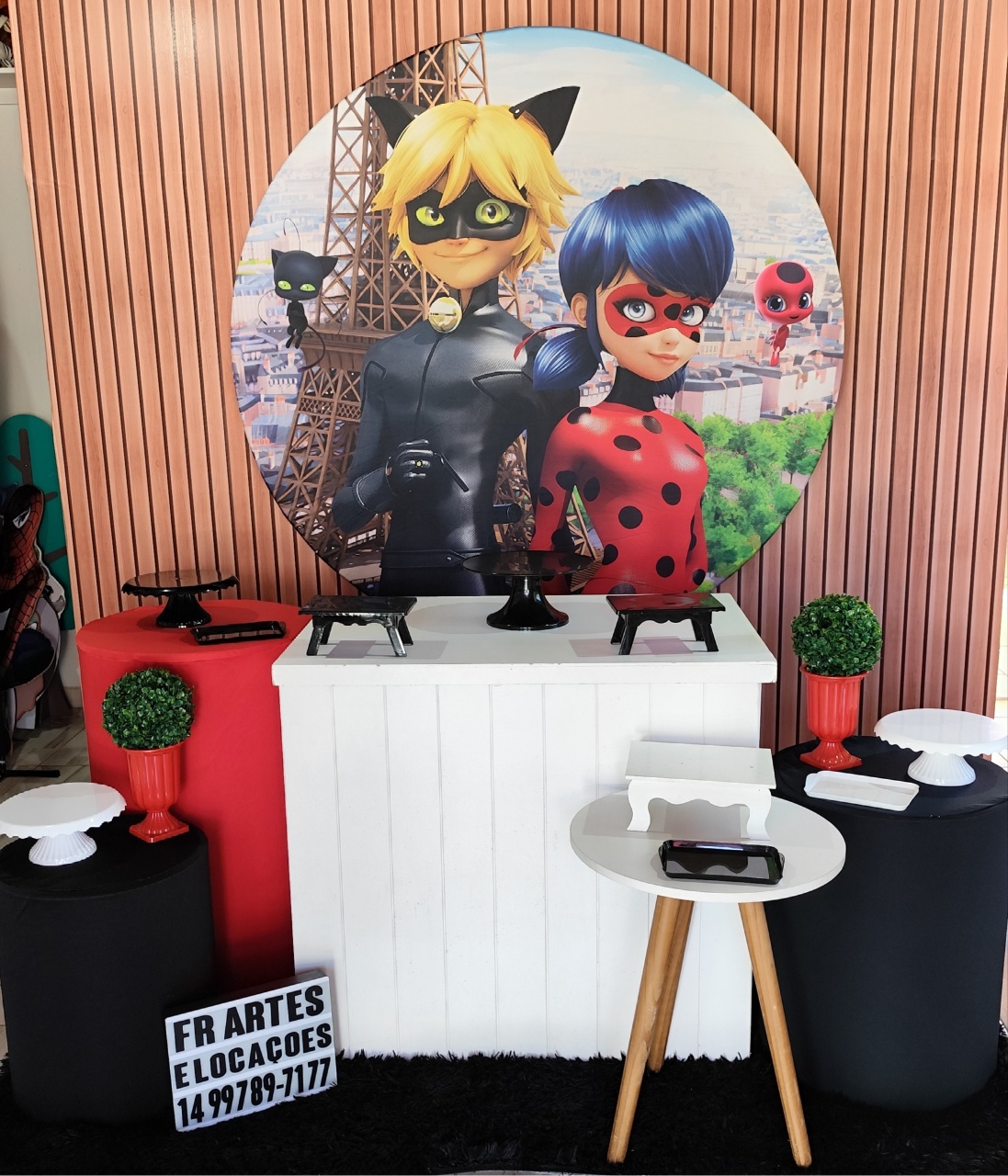 Ladybug E Cat Noir - Ouro - FR artes