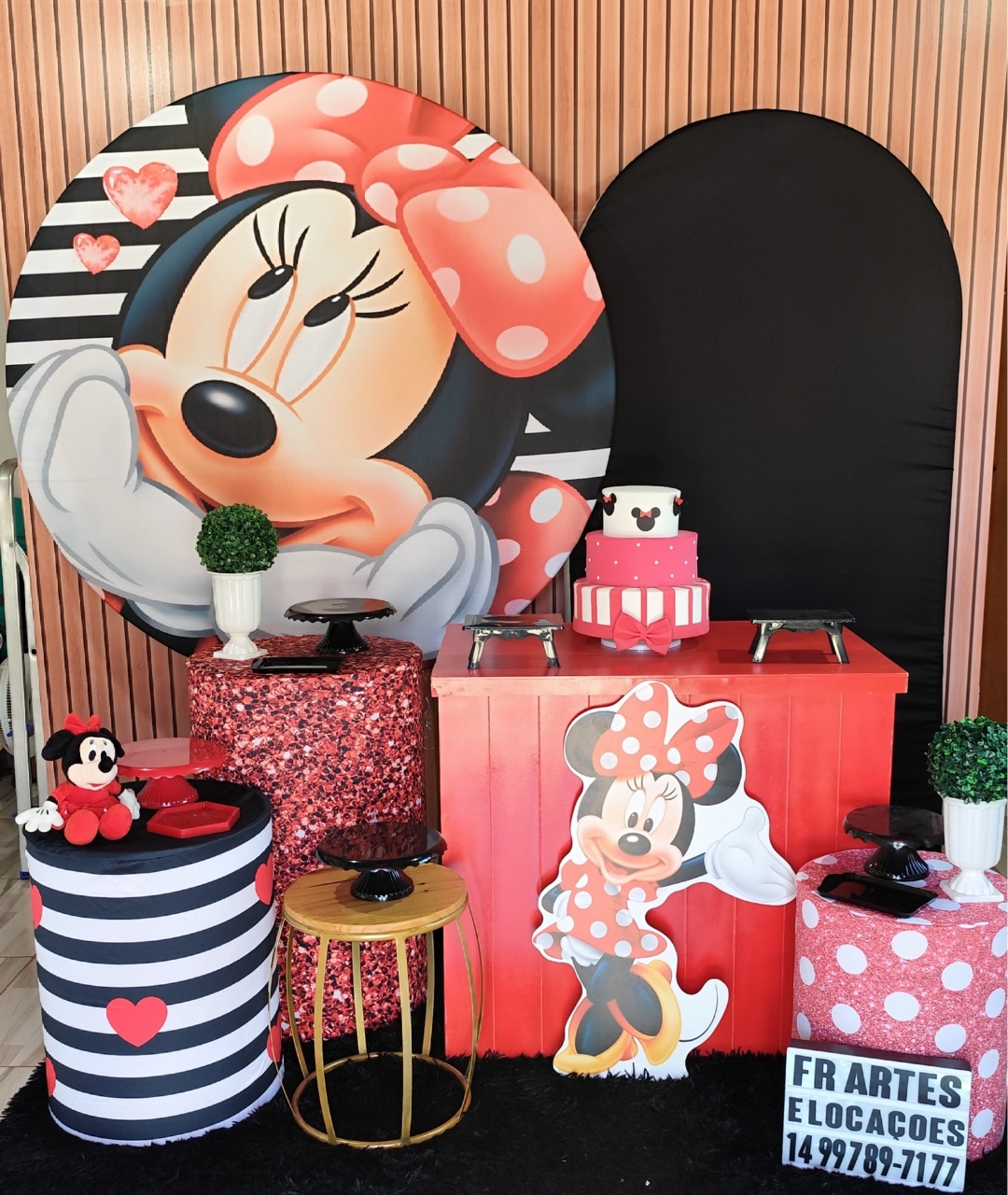Minnie Rosto -  Completo - FR artes