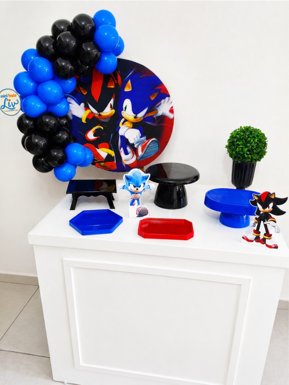 Kit Básico Sonic E Shadow - Minifestaliv 