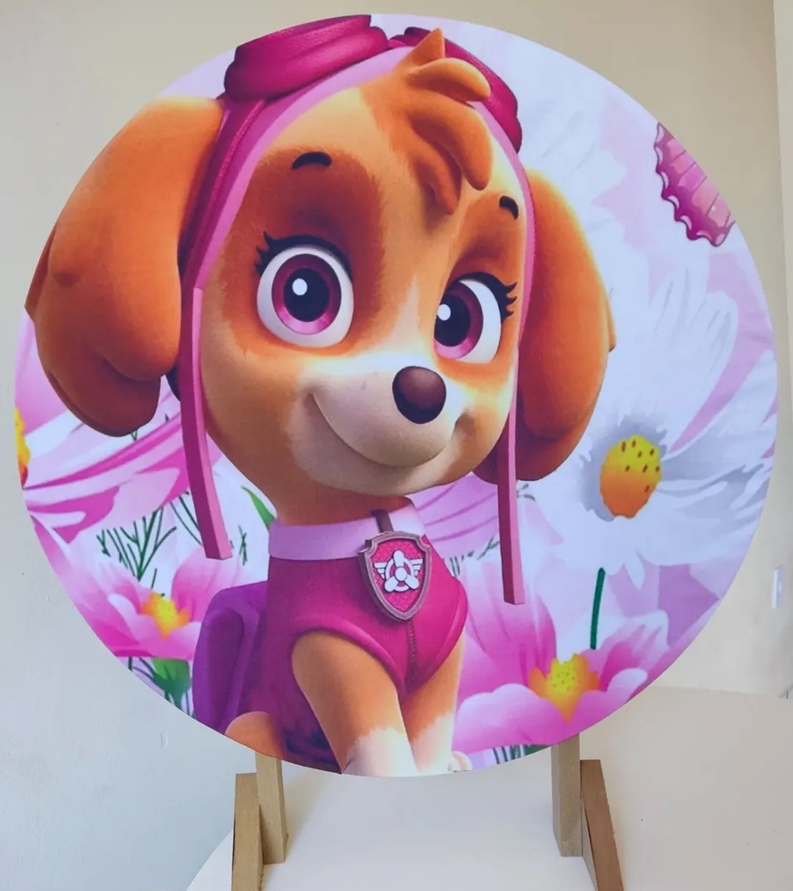 Skye Patrulha Canina 1 - Minifestaliv 