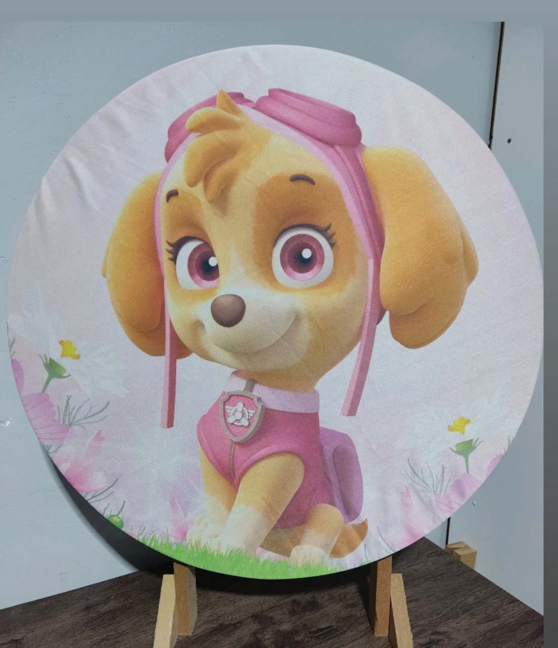 Skye Patrulha Canina  - Minifestaliv 