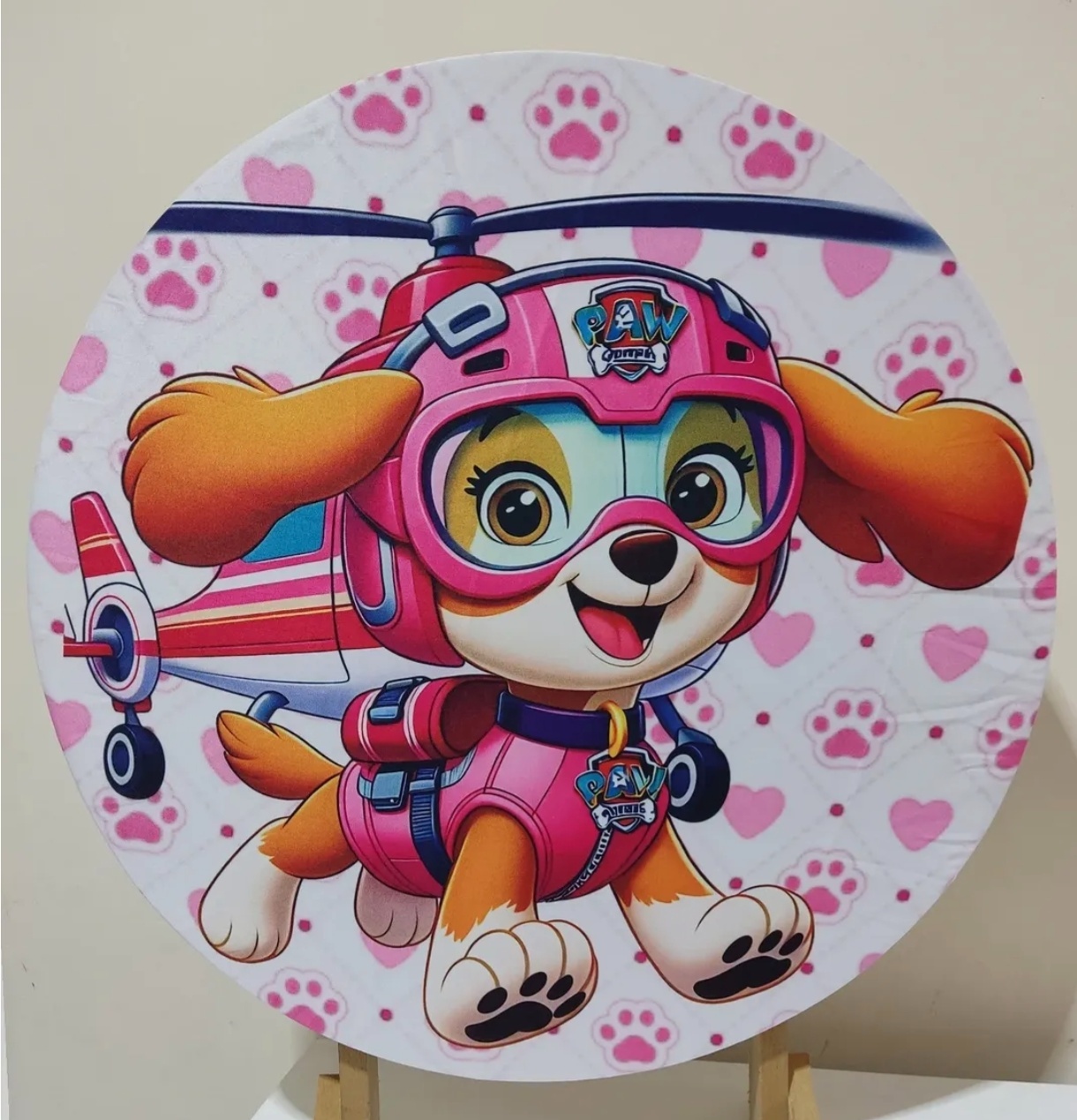 Skye 2 Patrulha Canina  - Minifestaliv 