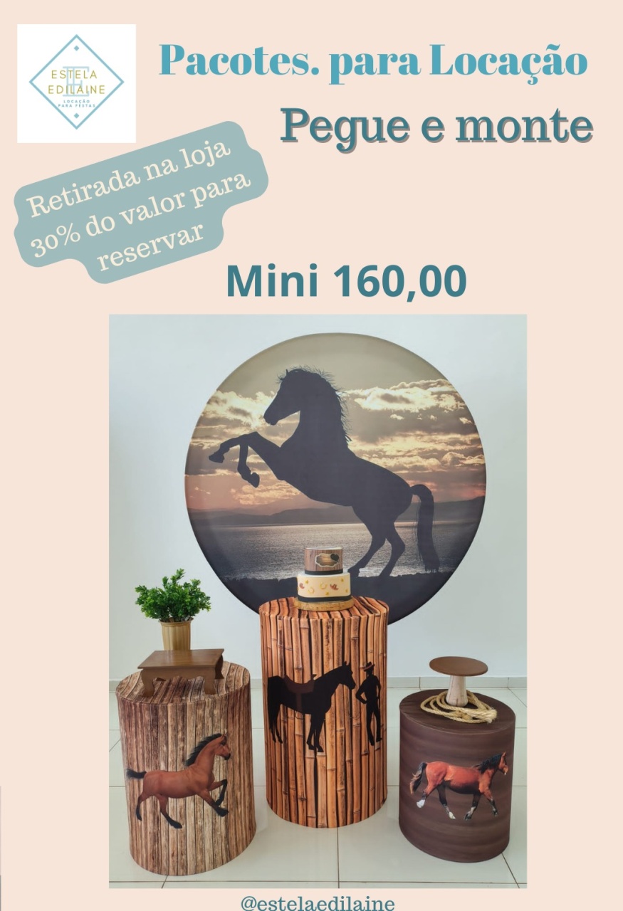 Cavalo Pacote Mini - Estela Edilaine Pegue e monte 