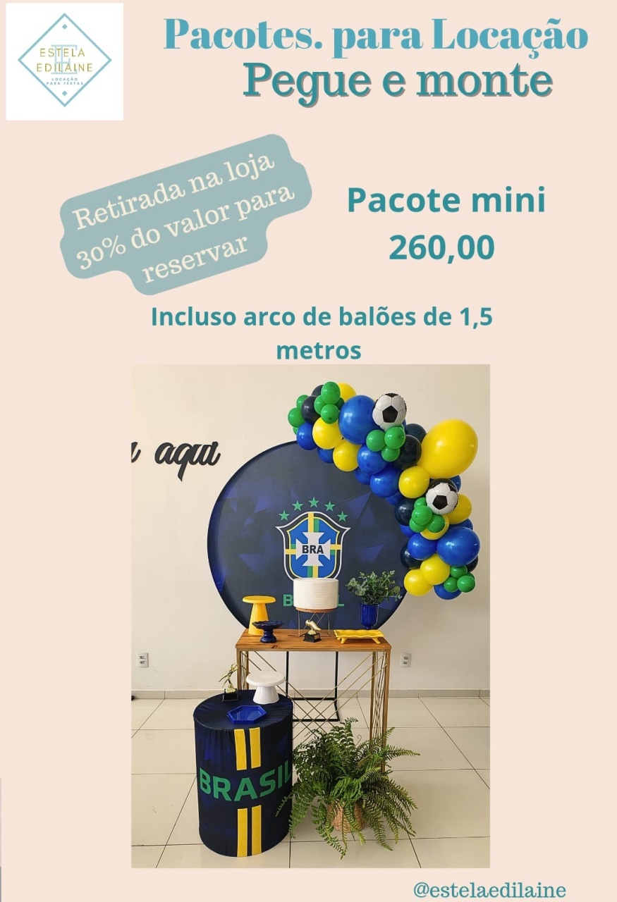 Copa Do Mundo/Brasil 1 - Estela Edilaine Pegue e monte 